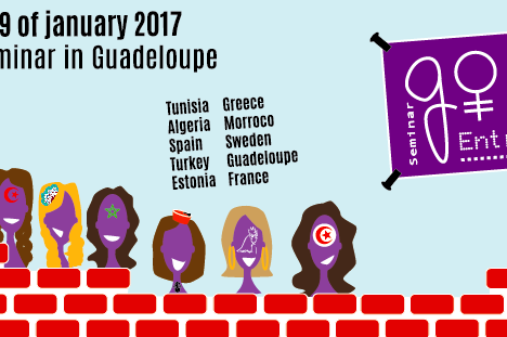 Visuel du projet Go Entrepreneur en Guadeloupe